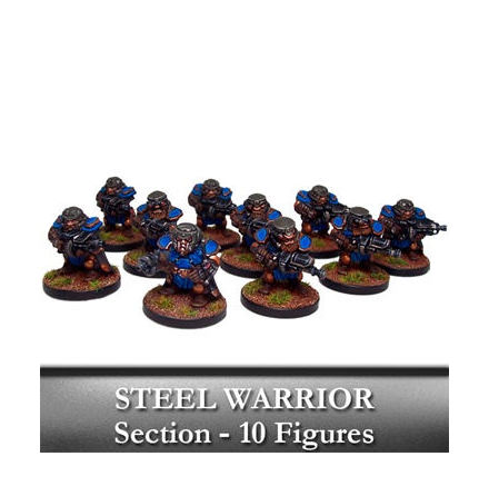 Forgefathers Steel Warriors Section (10)