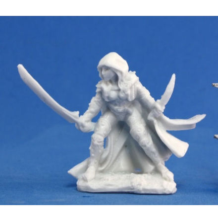 Deladrin, Female Assassin (Sword and Shield) (sculpted by Werner Klocke)