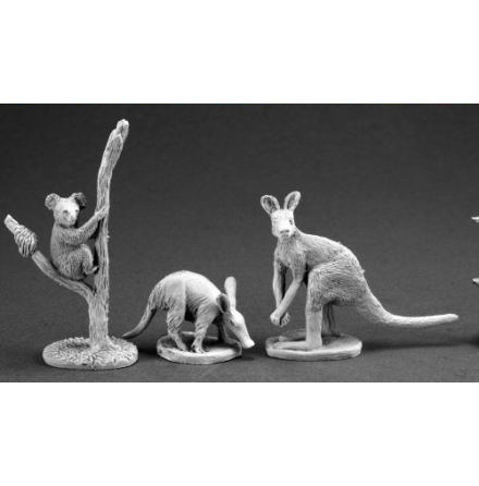 Animal Companions: Aardvark, Kangaroo, Koala