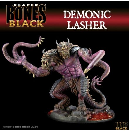 DEMONIC LASHER Bones Black Deluxe Boxed Set